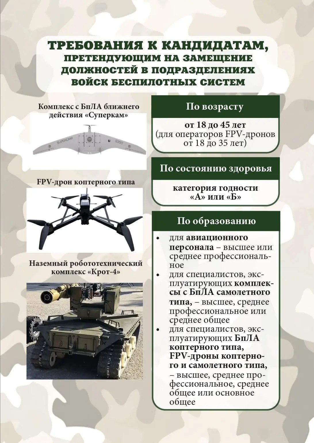 photo 2026 02 19 12 50 52